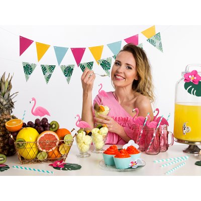Vlaječková girlanda "Aloha mix" - stThumbnailPlugin.php.jpg
